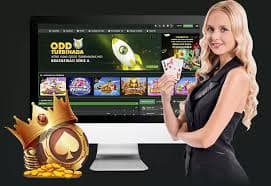 100bet